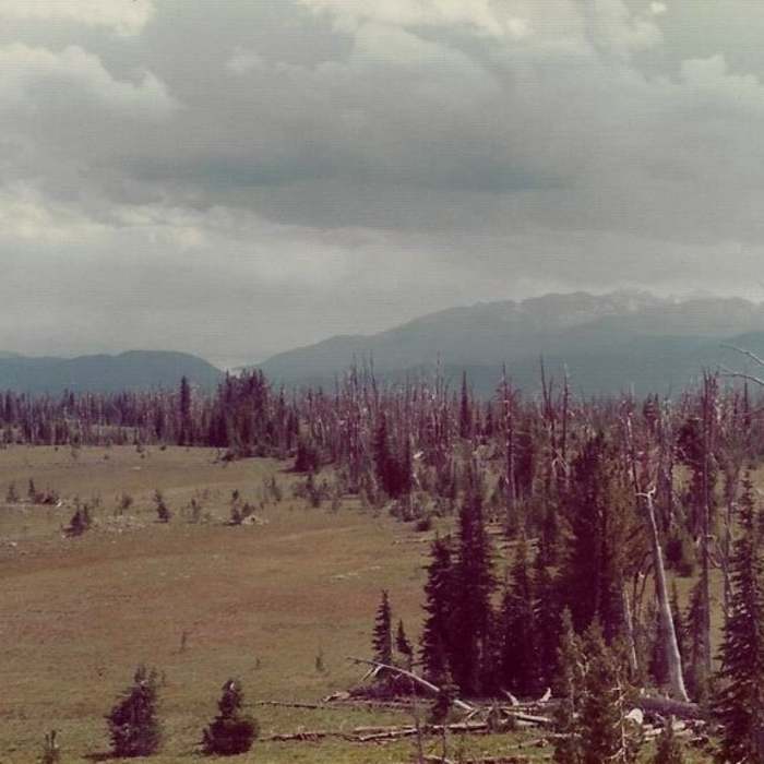 Looking southeast toward the Tetons from the Pitchstone Plateau. Near Pitchstone Plateau Trail