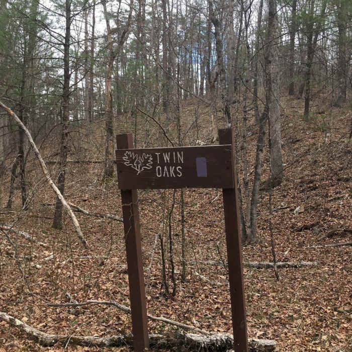 Near Pine Lick/Twin Oaks Loop