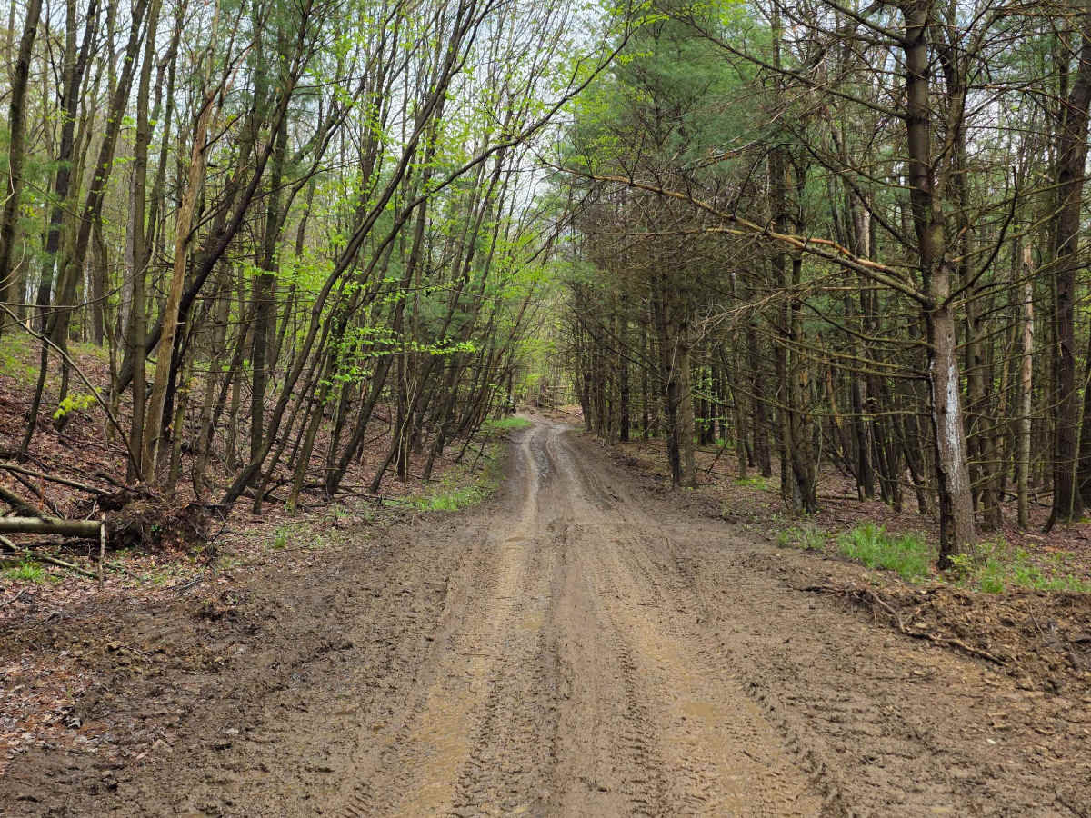 Trail 15B - Rock Run Recreation Area photo 2