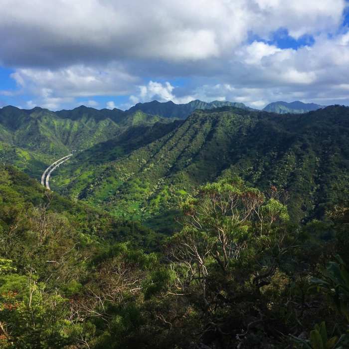 Aiea Loop Trail Near Aiea Loop