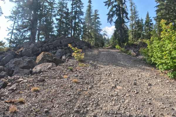 Daly Lake - FS 2266450