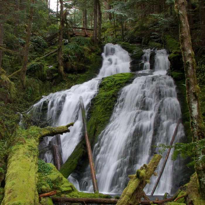 Near Horseshoe Ridge via Siouxon Trail