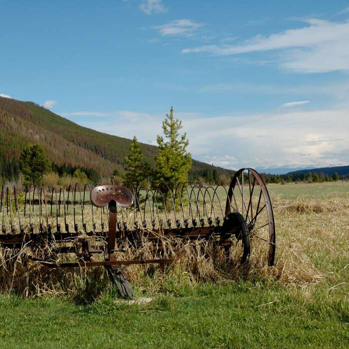Estes Park Near Ditch Road