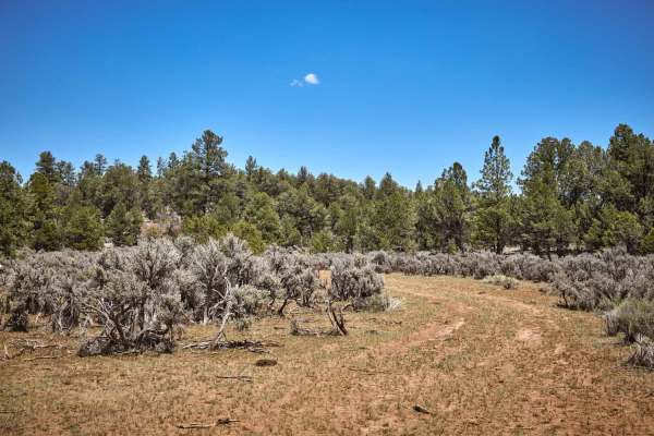 Cowpie Cowboy Trail