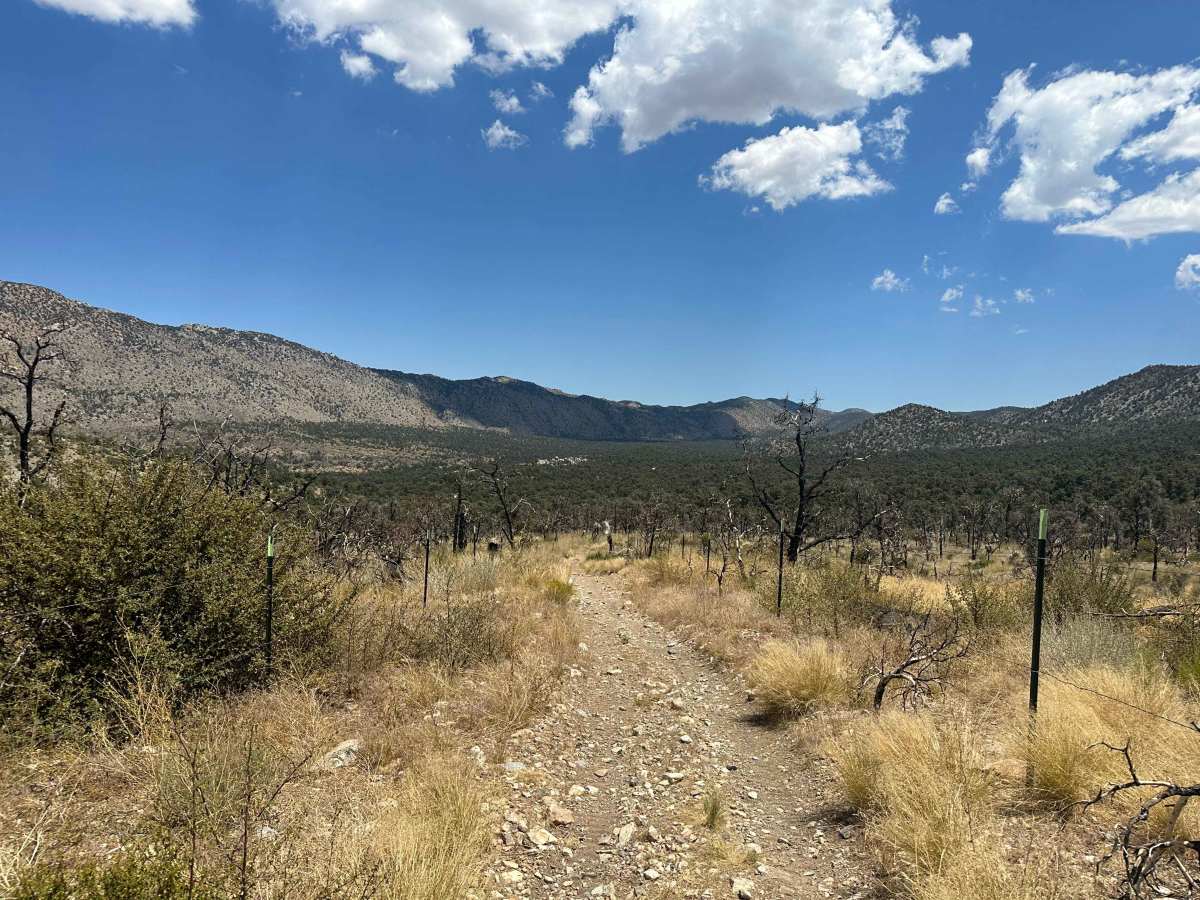 Pinyon & Vista Trail Loop - FS 2E20 trail photo
