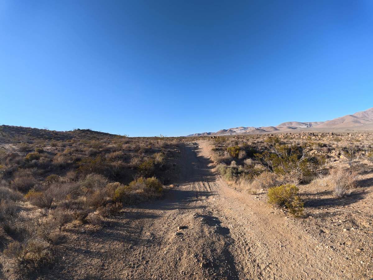 BLM SV2614 photo 3