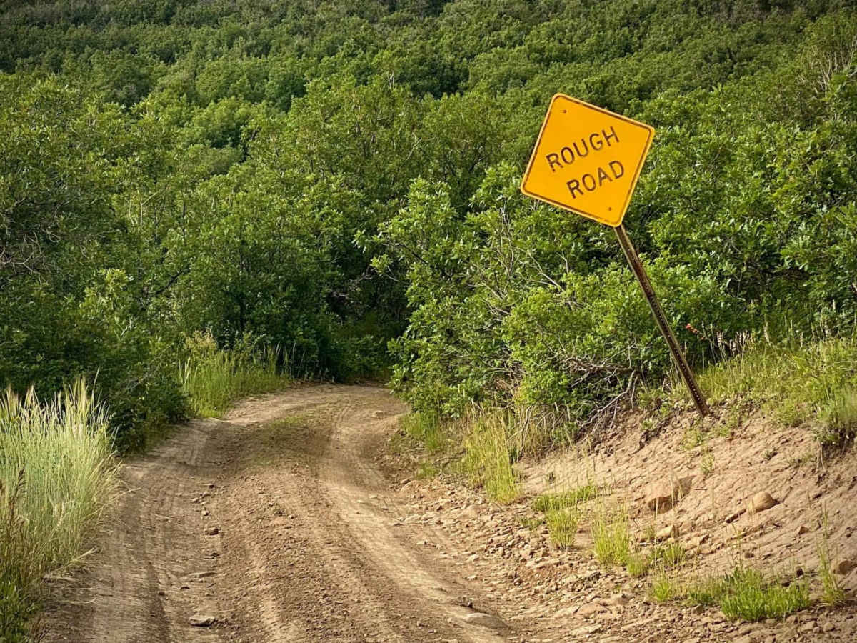 Fr Road 664 trail photo