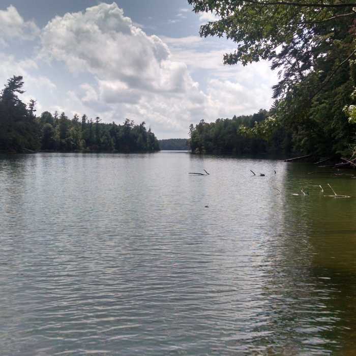 Near Fonta Flora Trail Loop