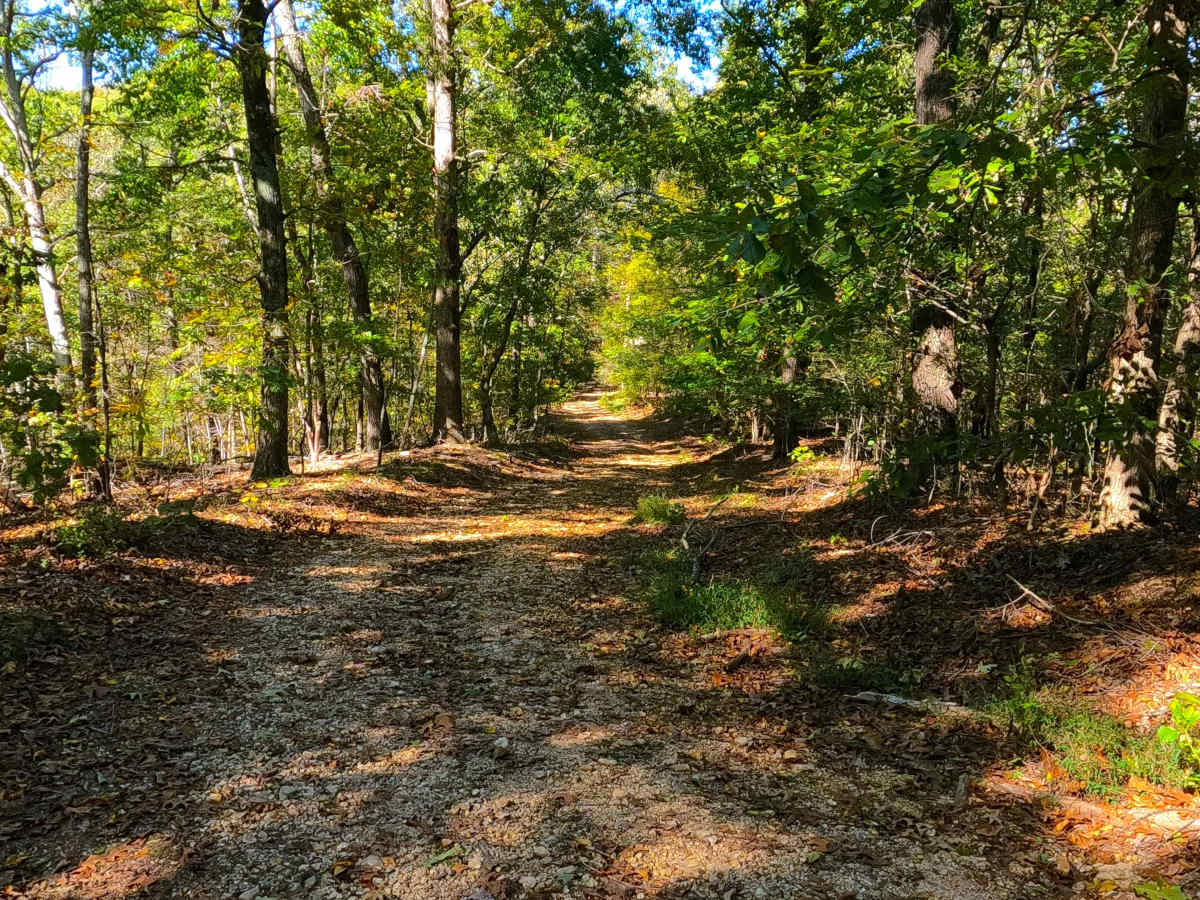 Wallace Road - FS 156 photo 6