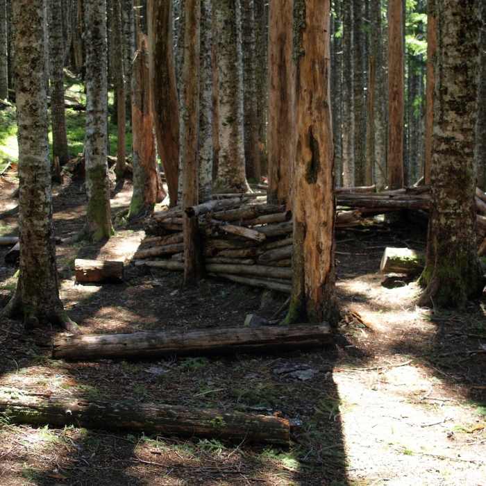 Near PCT: Herman Creek to Eagle Benson