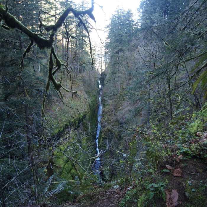 Near Oneonta Trail #424