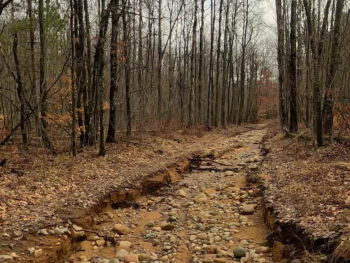 Alcona County Trail - ORV H7 photo 5