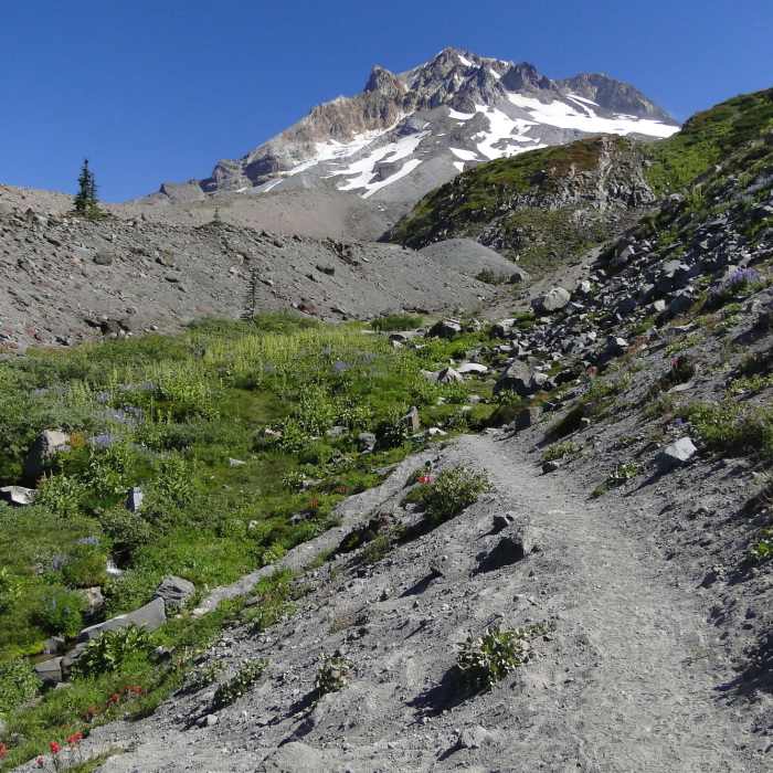Shoot for a bluebird day for your hike on the Paradise Park Loop Trail, as it is a long way to go with limited views on a cloudy day. Photo by Guy Meacham. Near Paradise Park Loop Trail #757