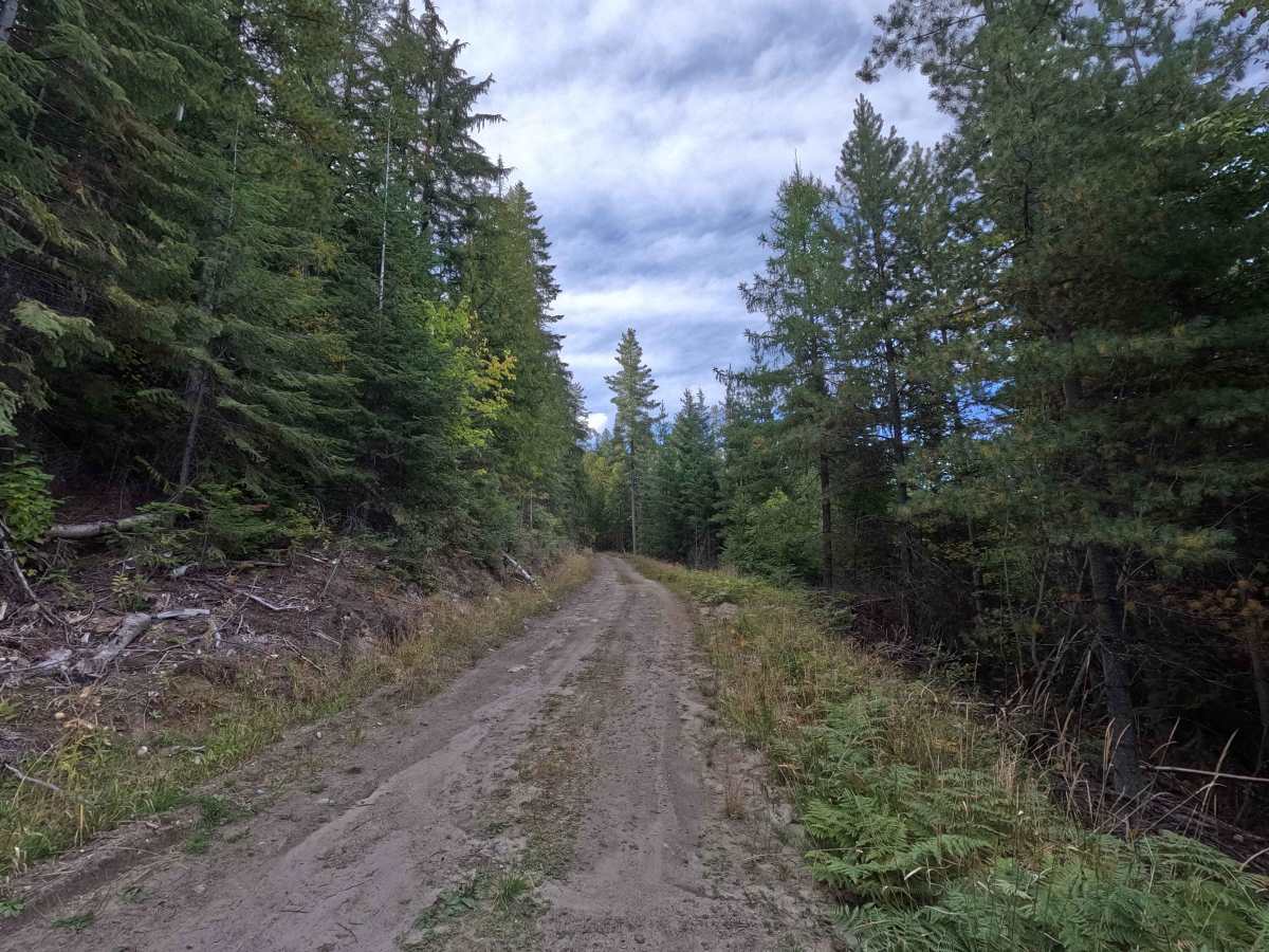 Pickett Road - FS 1710500 photo 4