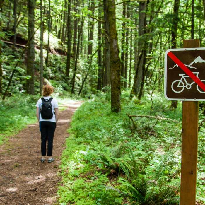 Near Gorge Trail #400 Hike