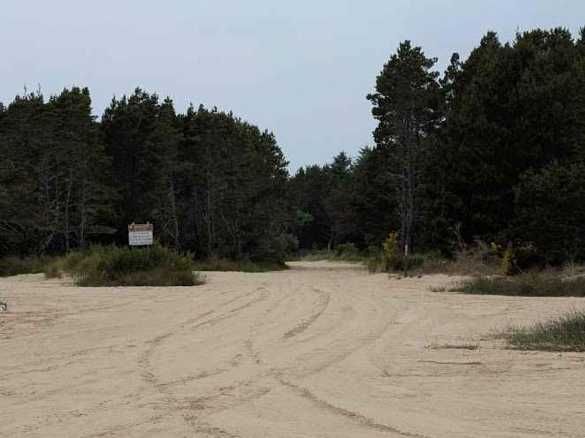 Open West photo 4