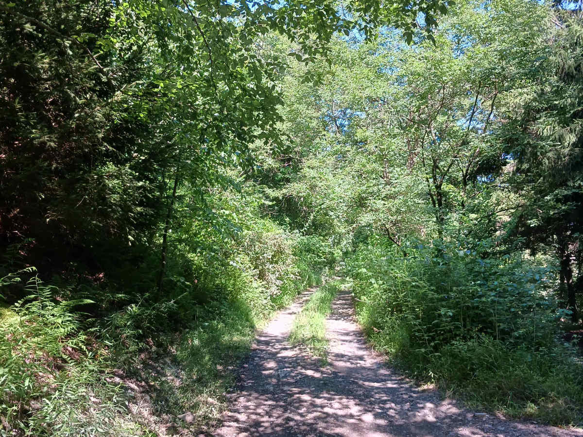 Trail 14B - Rock Run Recreation Area trail photo