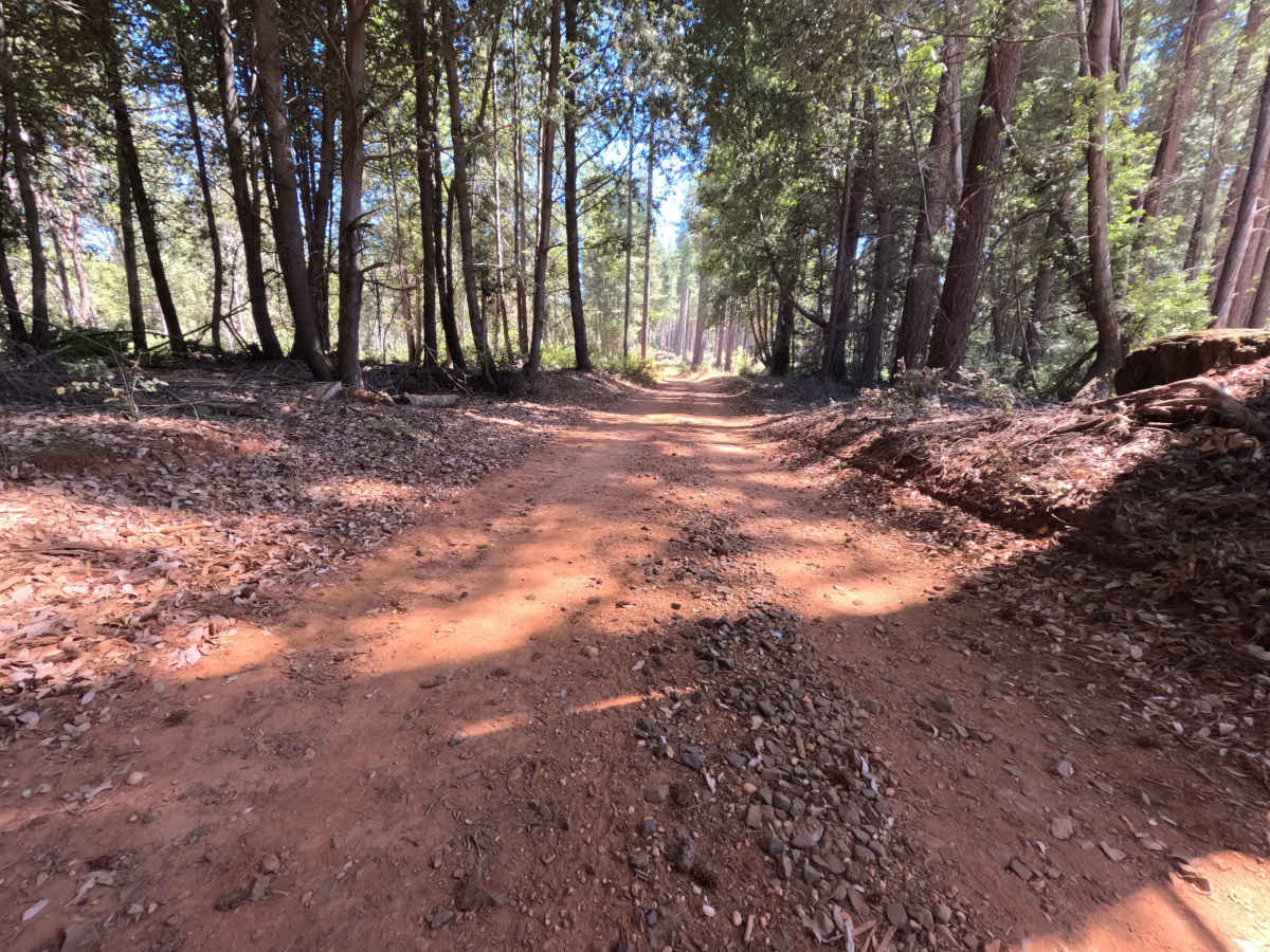Milk - FS 19N00 trail photo