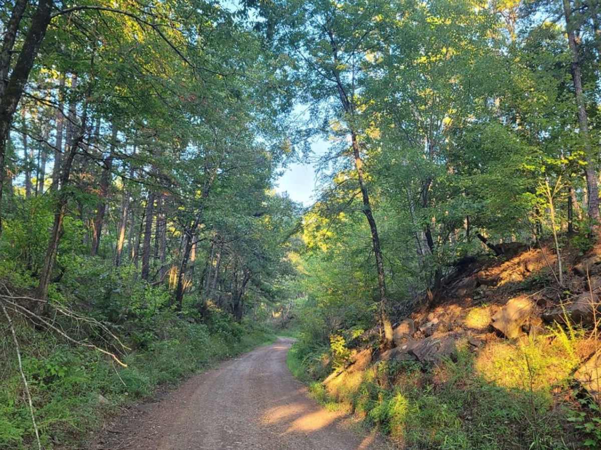 Seasonal Camp trail photo