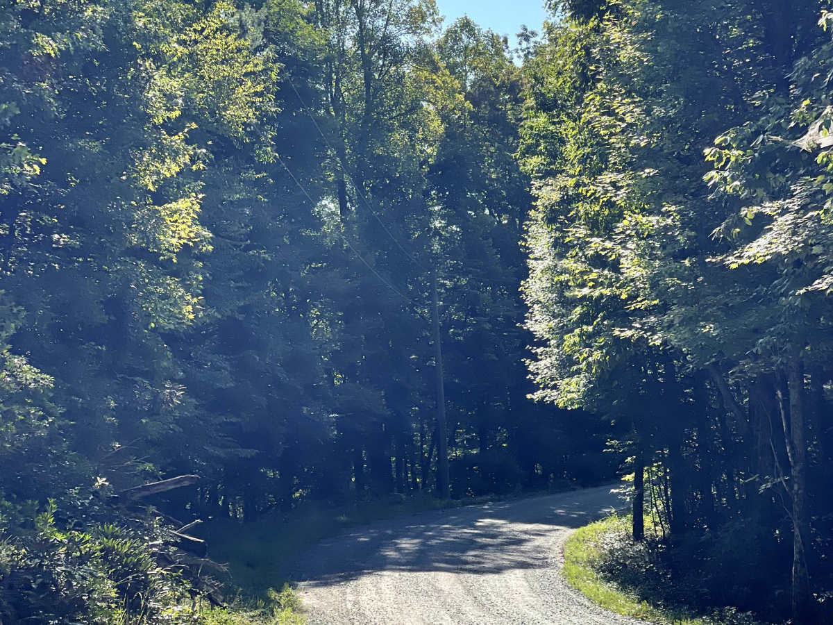 Sampson Road photo 2