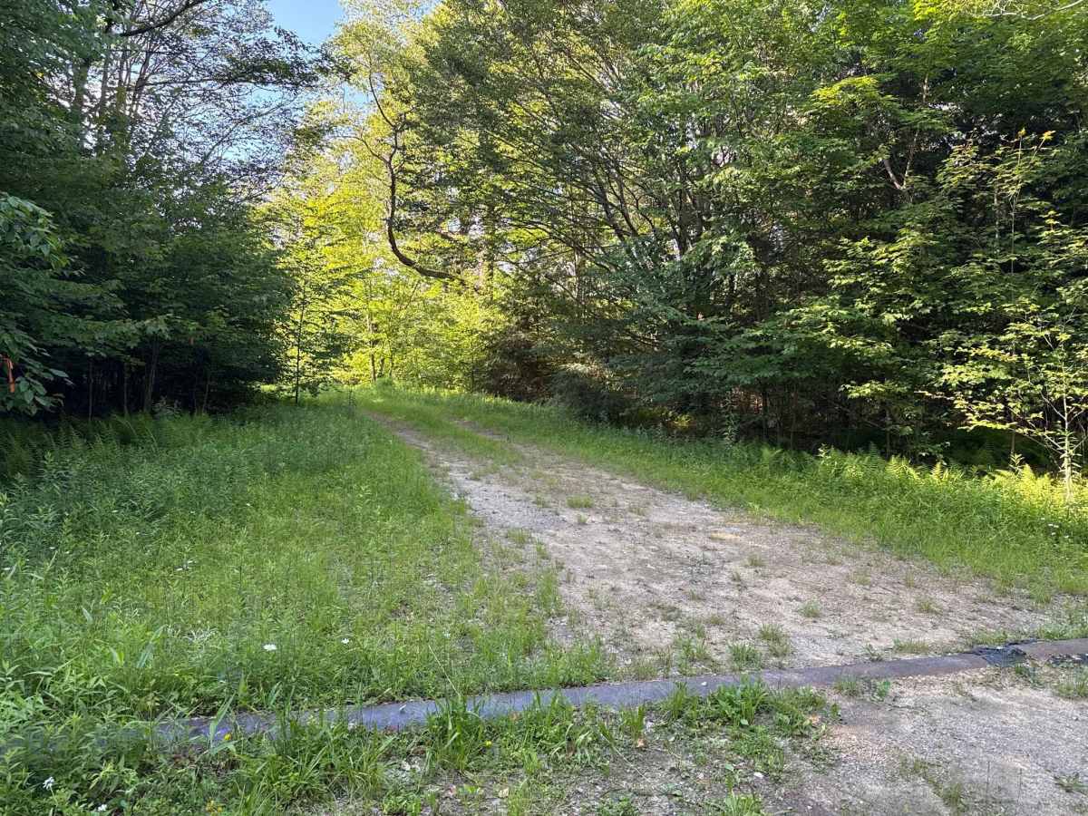 Plateau B - FS 628B trail photo