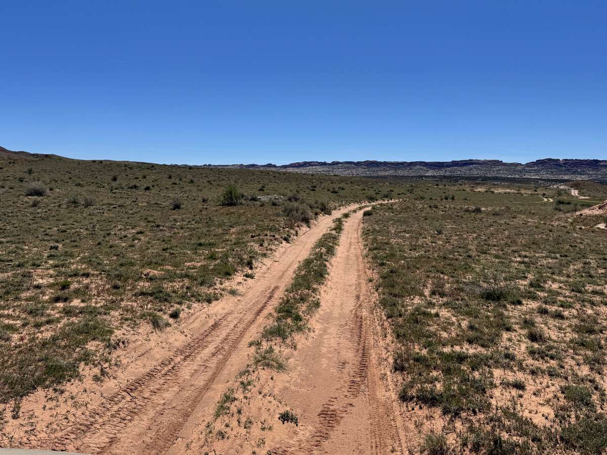 Molly Hogan trail photo