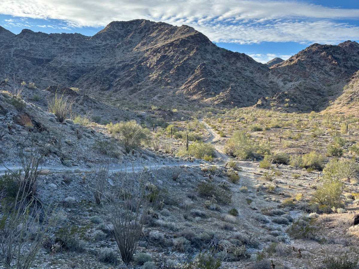 KOFA View trail photo