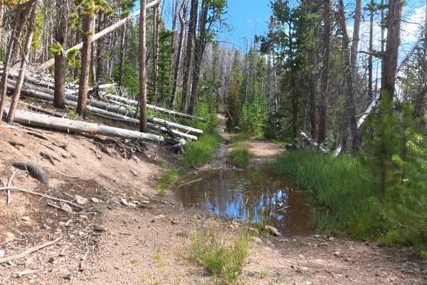 Grace Creek Road - FS 143