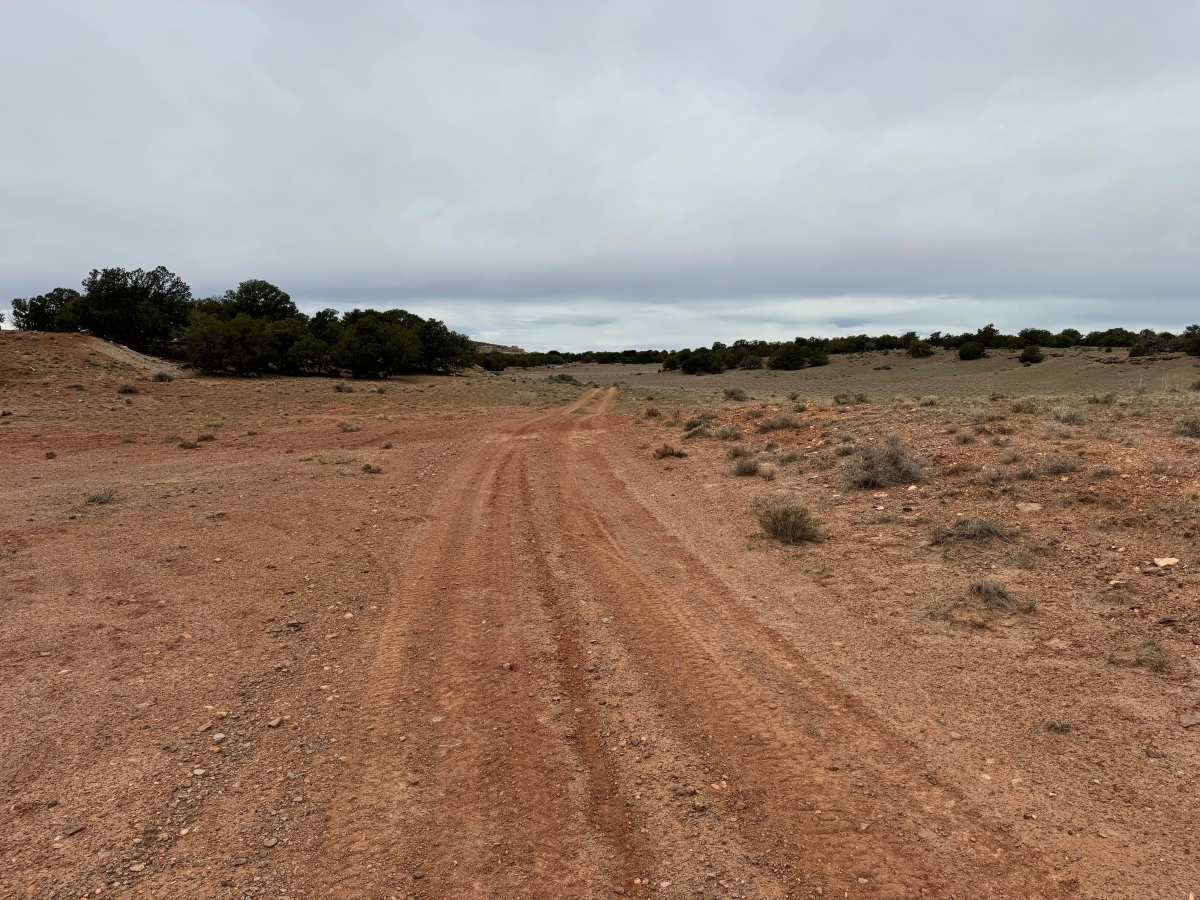 BLM 924 photo 4