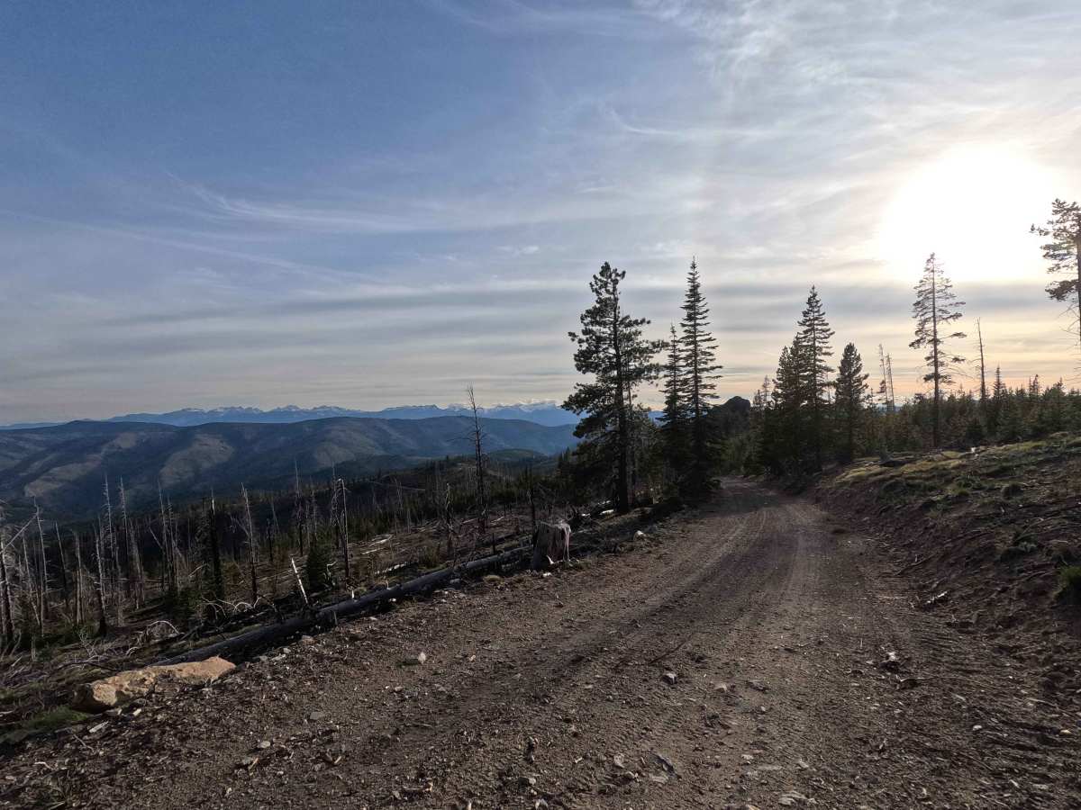 Tyee Lookout Road - FS 5713 photo 6
