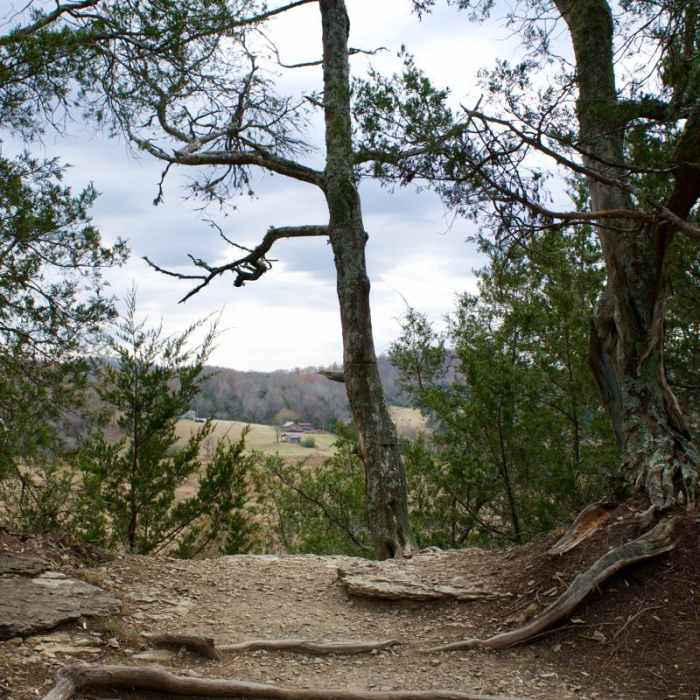 Near Narrows of the Harpeth