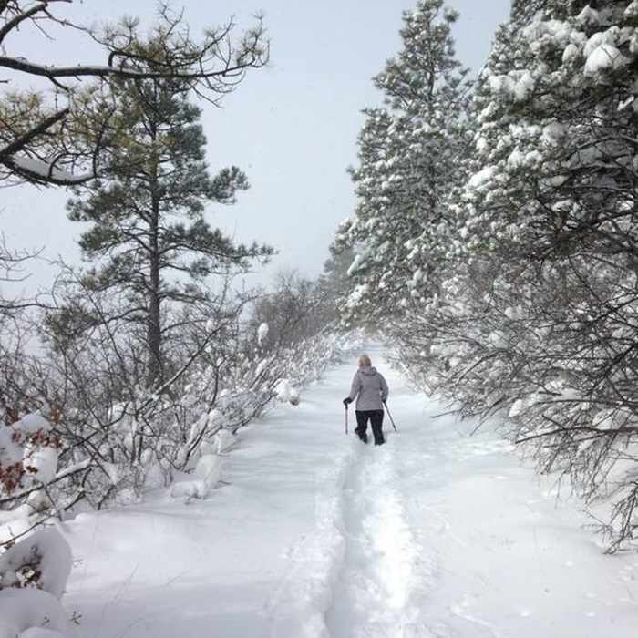 Near Overlook (T5001B)