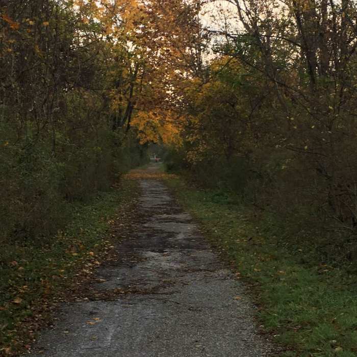 Near Paper Mill Road Trails at NCR