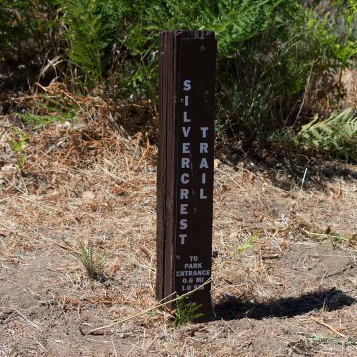 Near Silvercrest Trail
