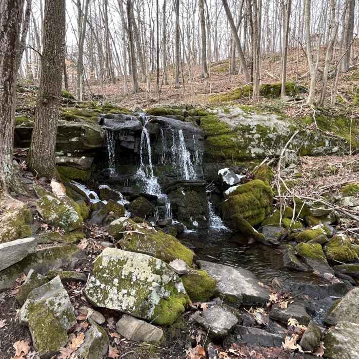 Near Louisa Pond Loop via White-Red-Blue Trails