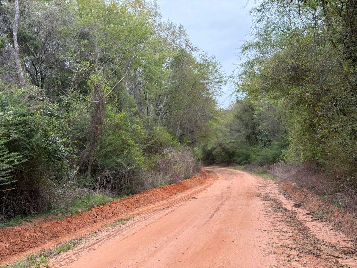 Charlie Foster Road trail photo