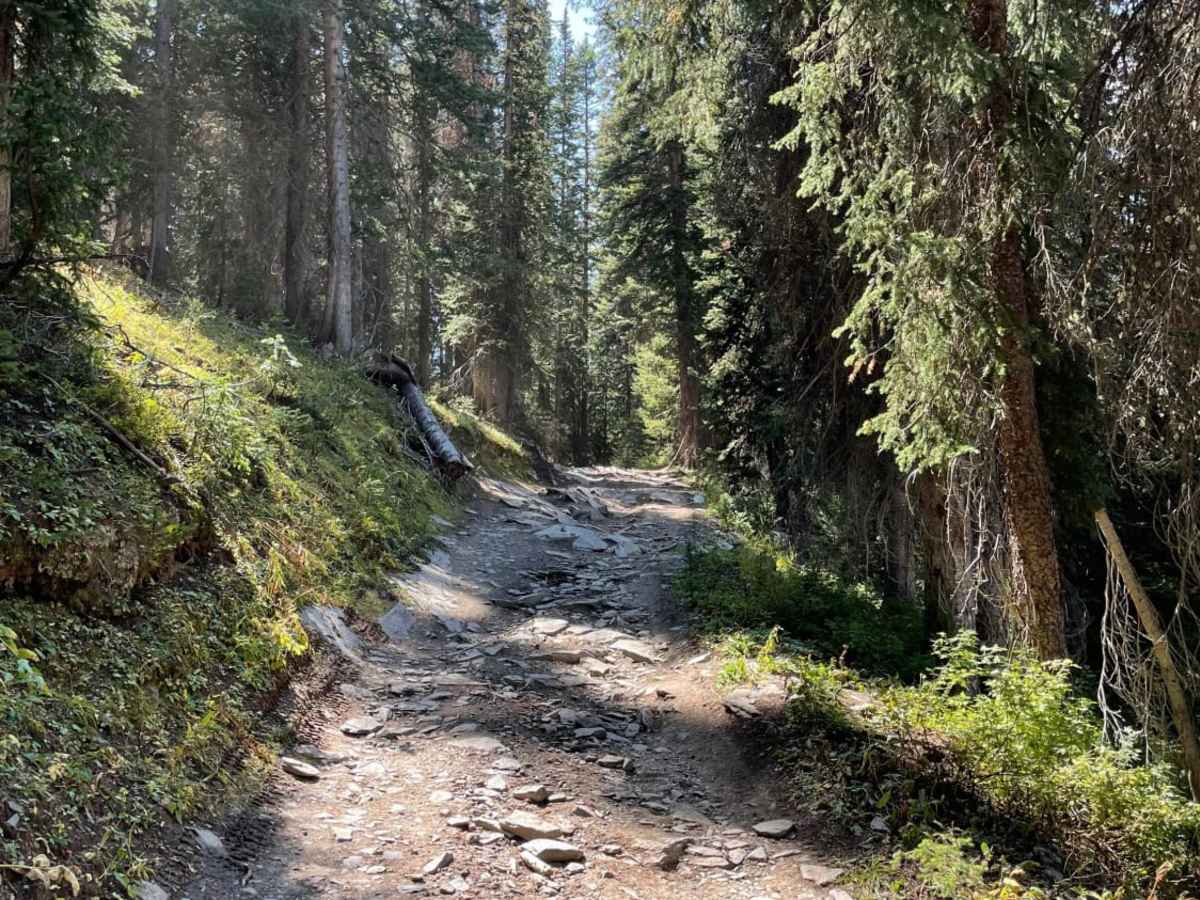 Sheep Mountain photo 4