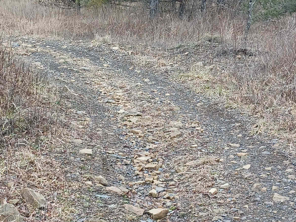Trail 5 - Rock Run Recreation Area photo 3