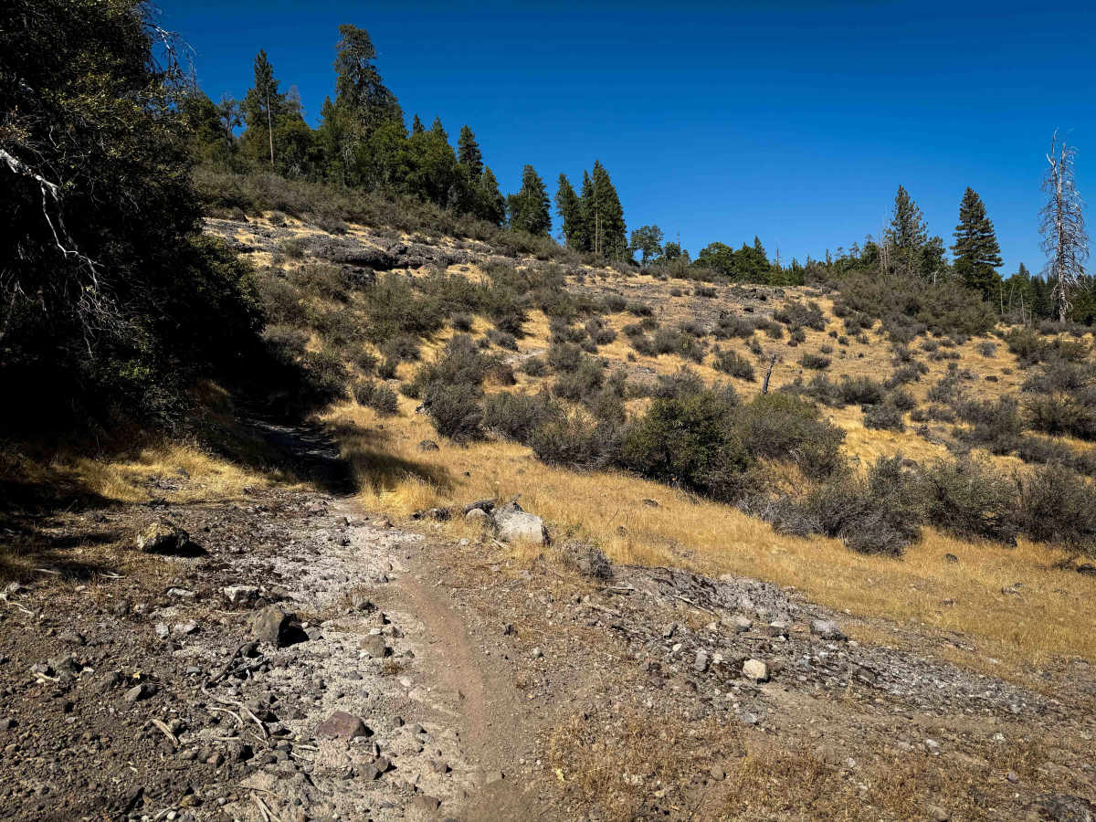 17EV235 trail photo