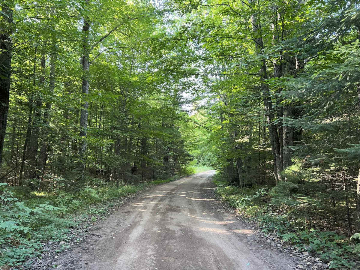 Devils Creek Trail photo 3