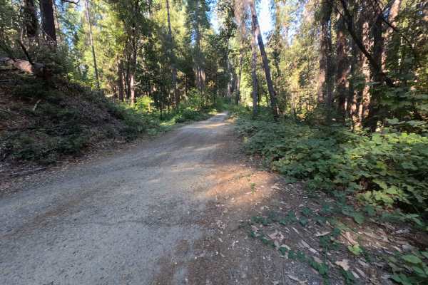 Dry Creek - FS 19N25 