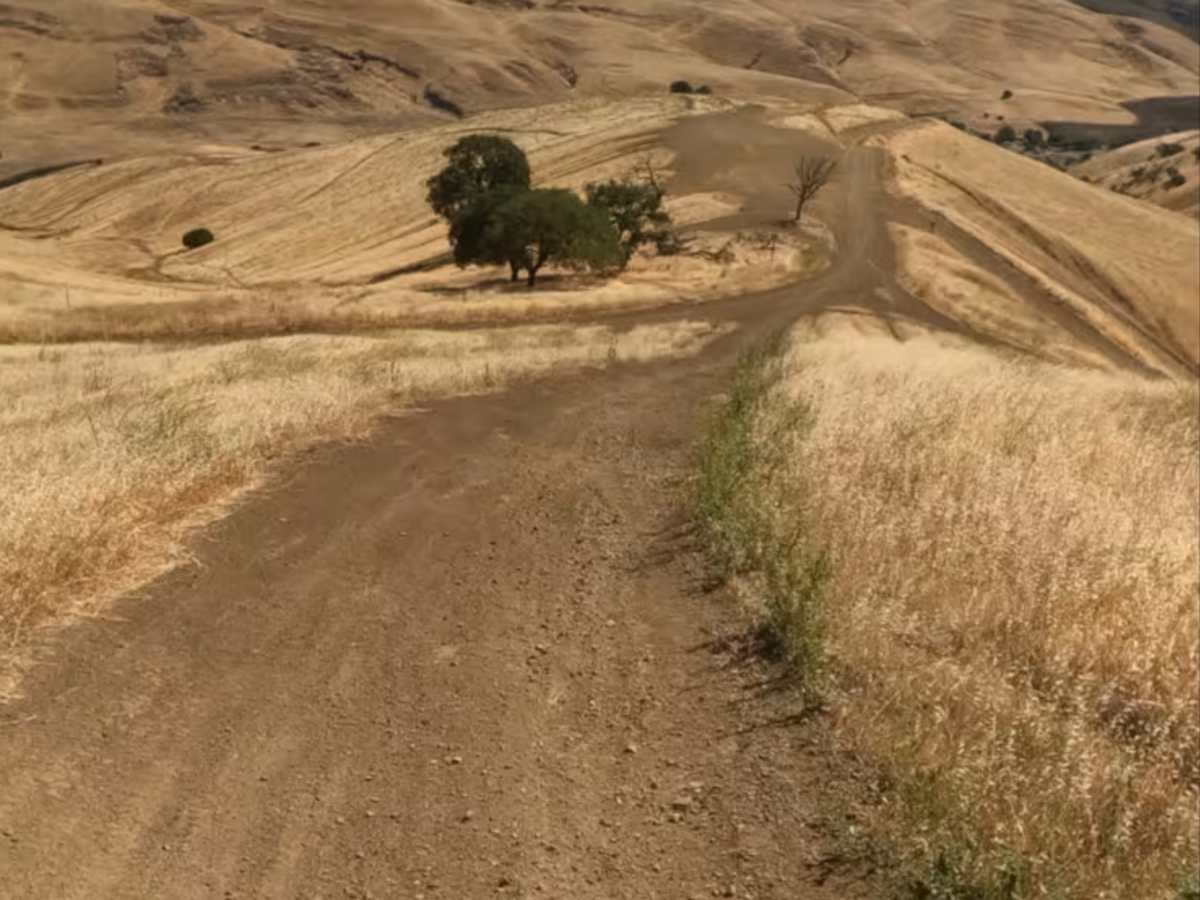 Juniper Trail trail photo