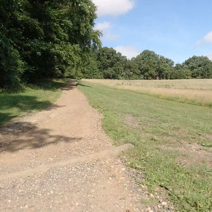 Near Holmdel Park X-Country Loop