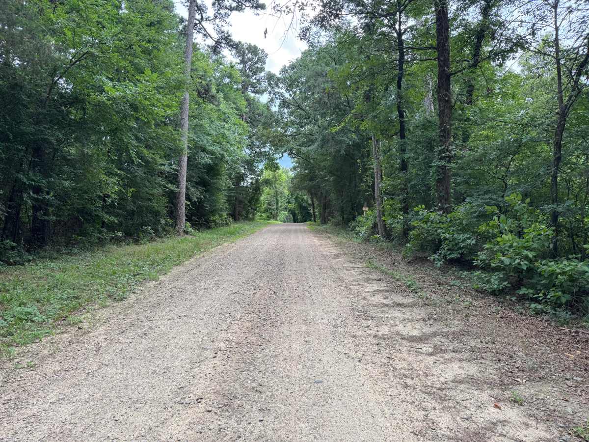 County Road 3706 photo 5
