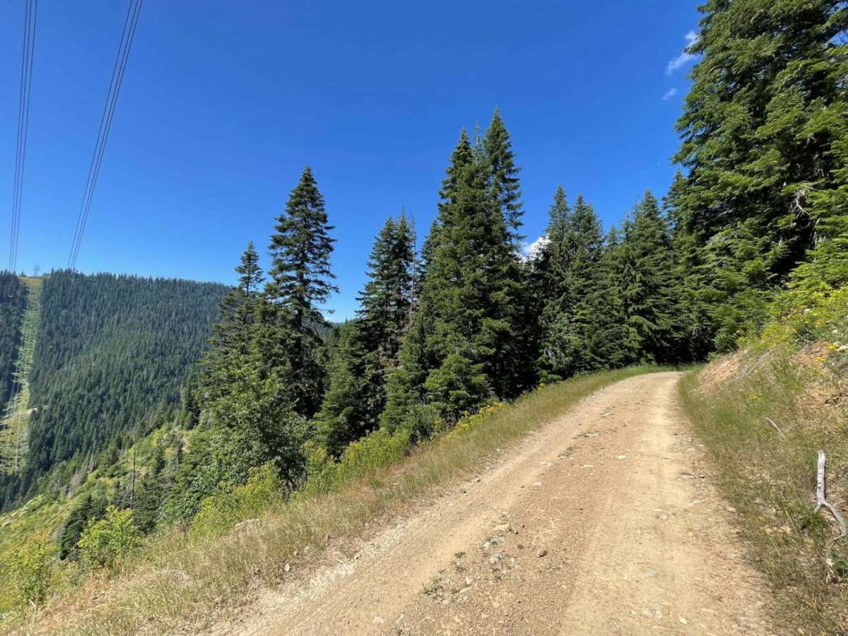 Gurley Saddle photo 3