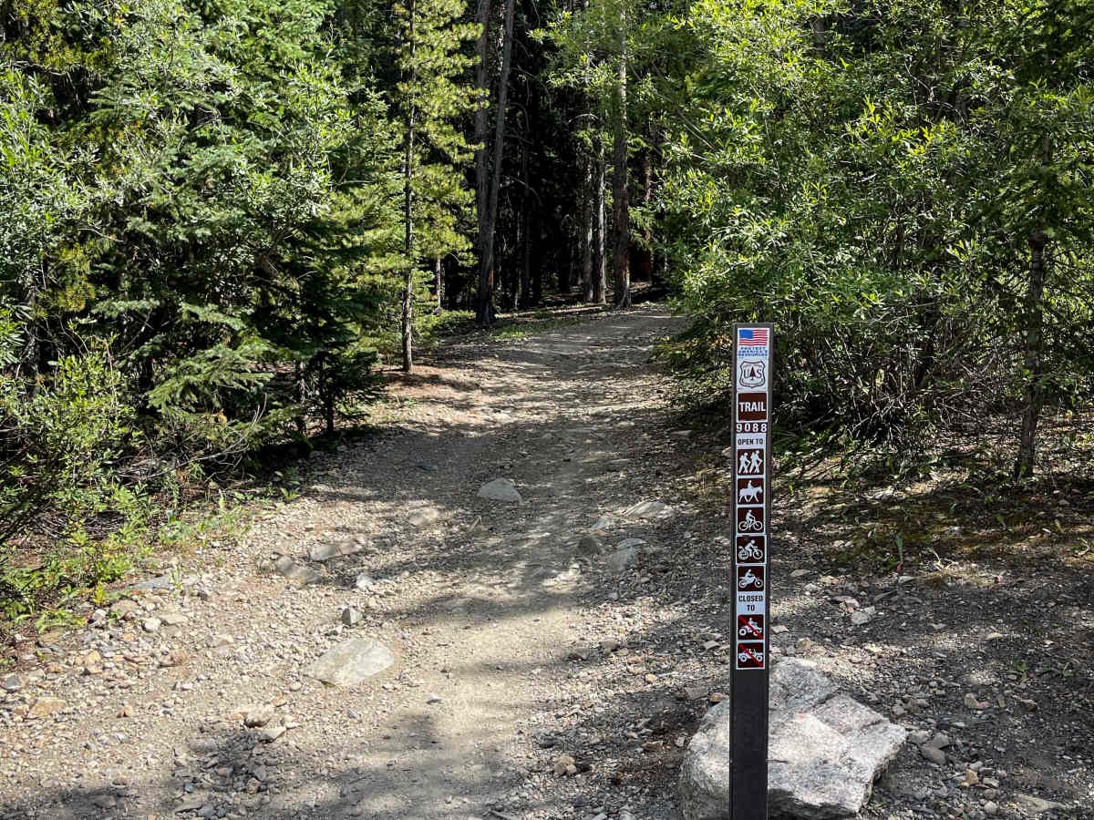 South Fork Swan Trail #9088  trail photo