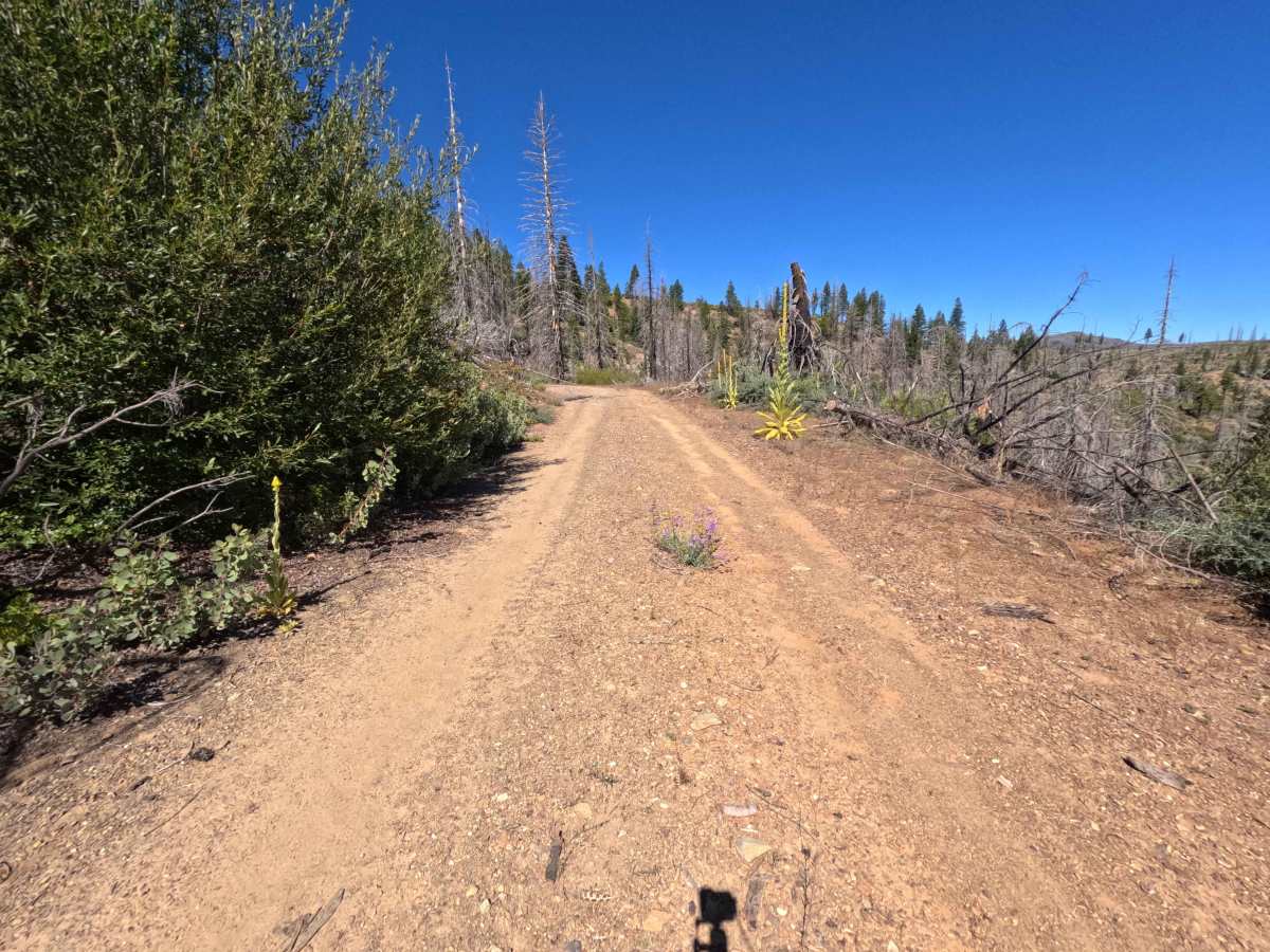 Squawkford Hill - FS 21N206 photo 6
