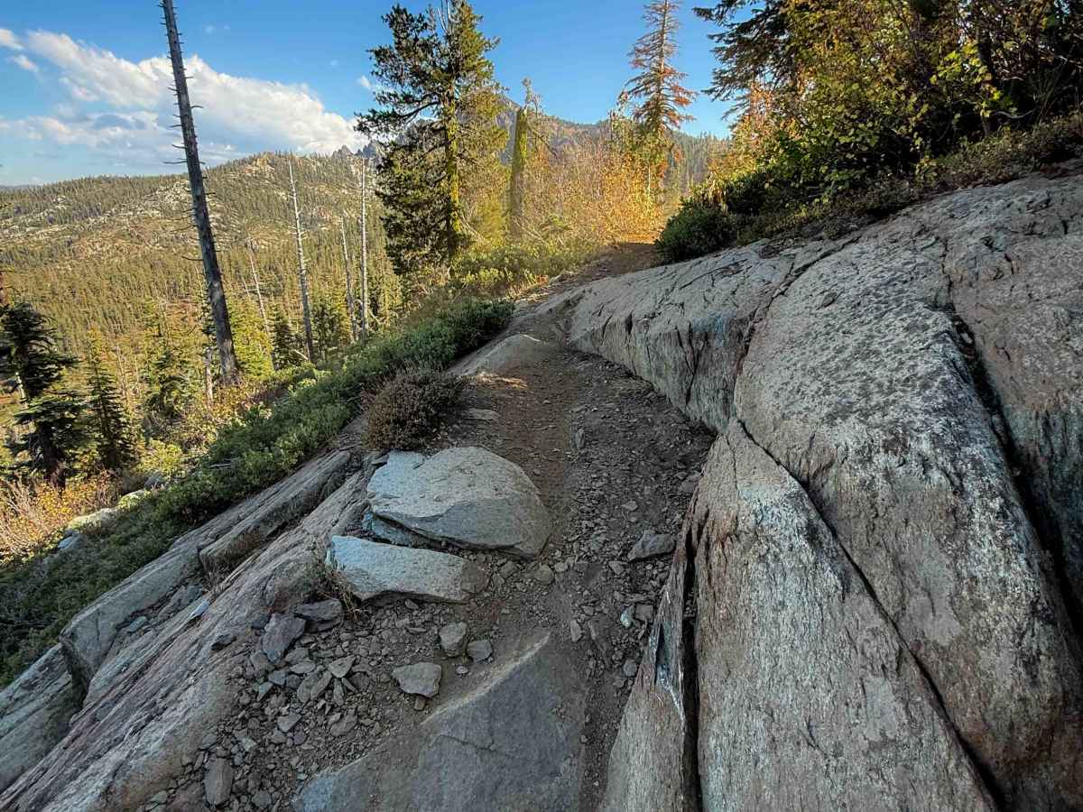 Gold Valley Connector  photo 2