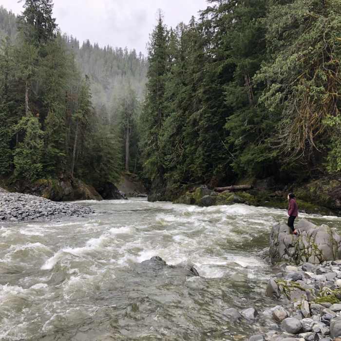 Near North Fork Quinault River Trail