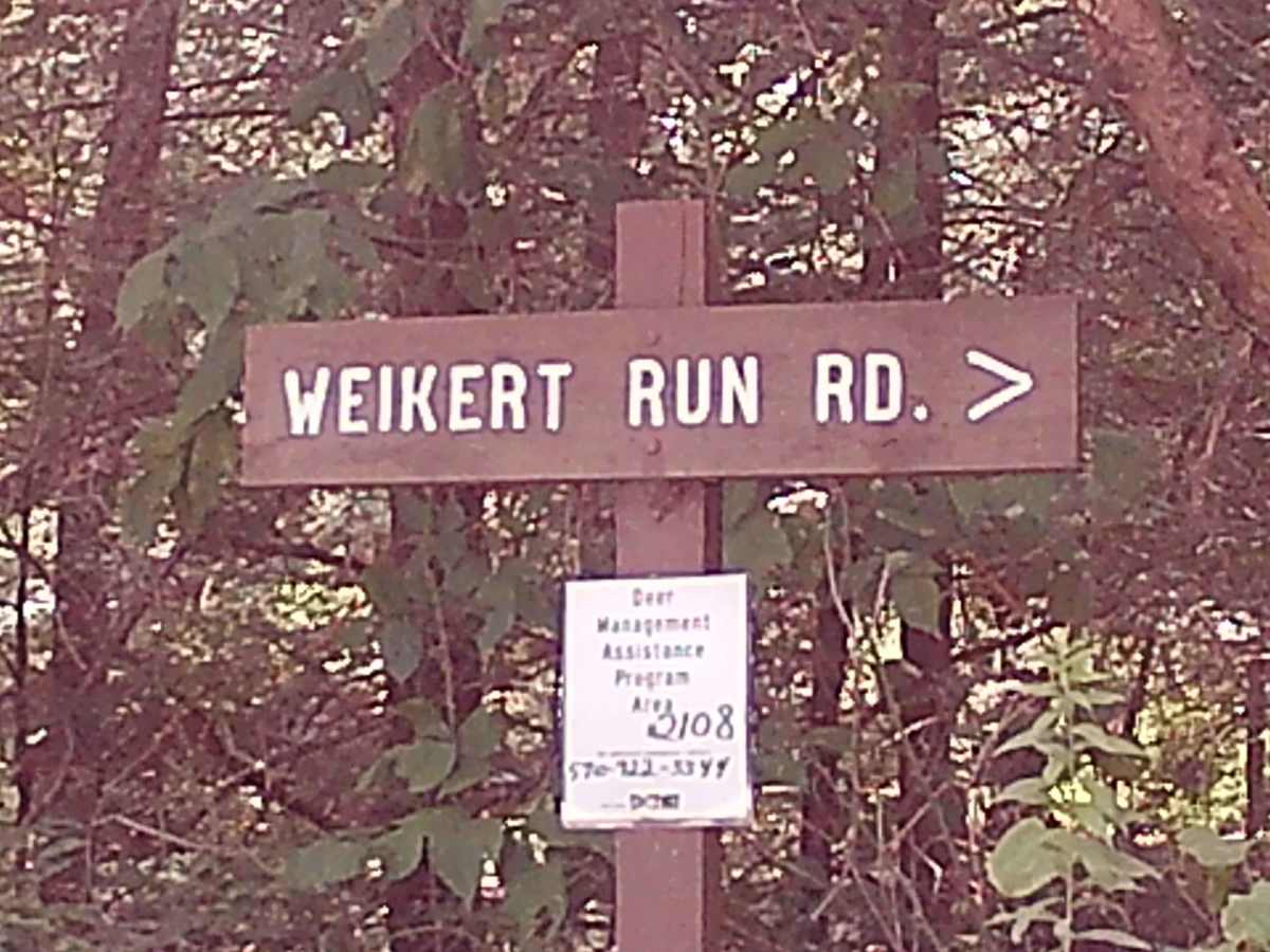 Weikert Run Road trail photo